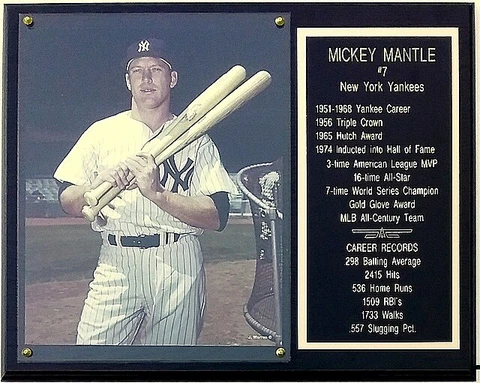 Mickey Mantle New York Yankees 12x15 Stats Plaque Cover