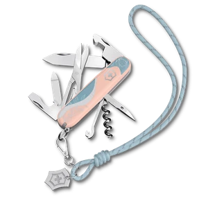 Victorinox - Companion Paris Stil - 1.3909.E221 - Picture 1 of 8