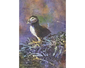 Watercolor painting Icelandic puffin colorful landscape painting decor (print) - Picture 1 of 12