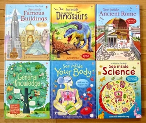 Lot 6 USBORNE FLAP BOOKS See Inside Body Rome Dinosaurs Buildings Science HB L2 - Imagen 1 de 2