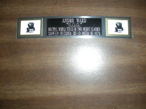 ANDRE WARD (BOXING) NAMEPLATE FOR SIGNED GLOVES/TRUNKS/PHOTO DISPLAY - Picture 1 of 1