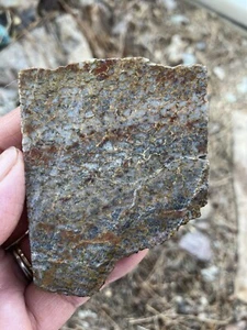 Dinosaur Bone Slab  - Picture 1 of 6