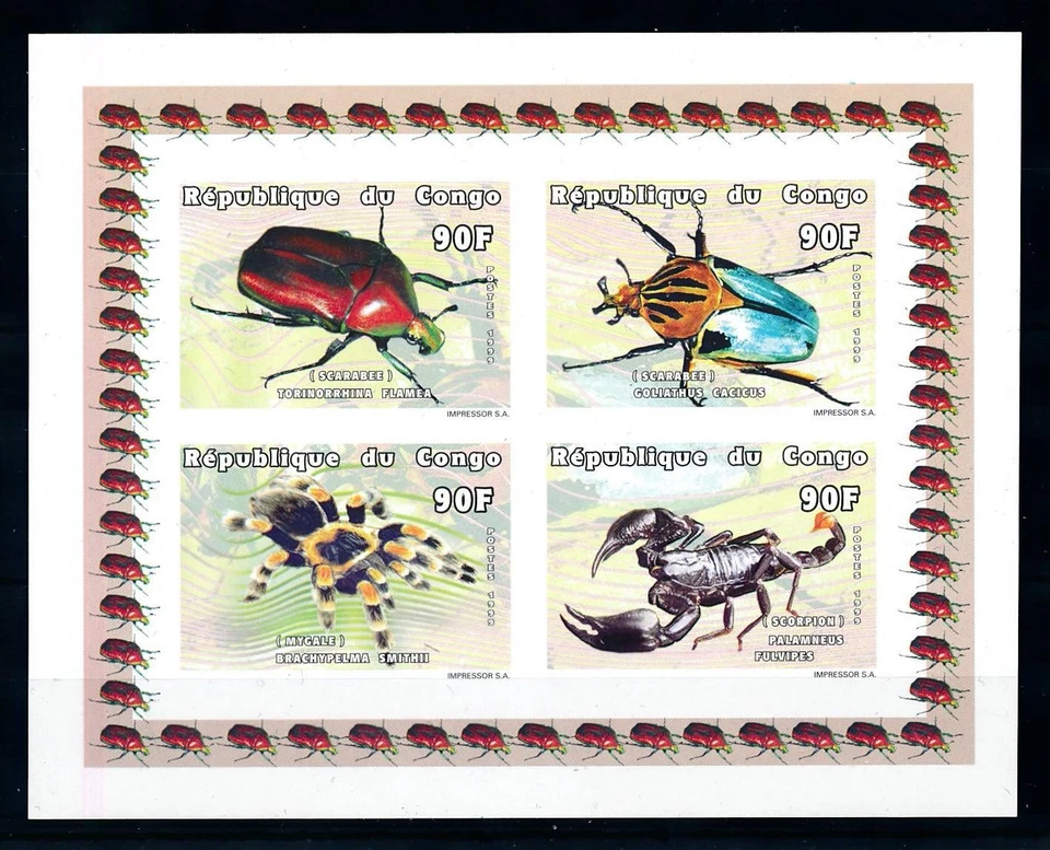 [75552] Congo Brazzaville 1999 Insects Beetle Spider Scorpion Imperf. Sheet MNH - Image 1 of 1
