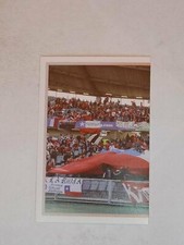 2007 Panini Copa America Venezuela Chile Fans (1of2) Chile #166