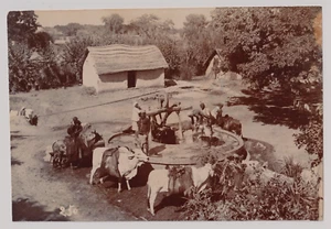10x15 -INDE Madhya Pradesh- Un puit à Ajnaur Khas (Ajnore) - Vintage c.1890 - Picture 1 of 2