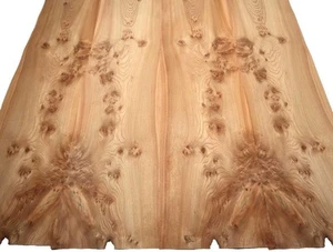 Rüster Maser Wurzelholz Furnier 135x34-38cm 2 Blätter - Bild 1 von 6