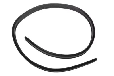 Restripa meteorológica para capó Chevrolet Caprice 92213881 Pontiac G8/11-17 OEM NOS 08-09 Foto 1 de 2