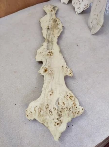 Baumscheibe  80 x 20 - 6 x 3 cm  Pappel Maser Epoxidharz  Poplar burl E 29 - Bild 1 von 9