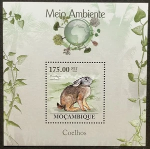MOZAMBIQUE RABBITS & HARES STAMPS SS MNH 2010 WILD ANIMALS WILDLIFE RABBIT - Picture 1 of 1