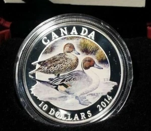 2014 $10 Fine Silver Coin - Pintail  - Bild 1 von 2
