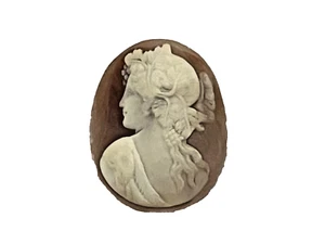 19th century - genuine old cameo shell - WOMAN hair leaves + vine clusters - Picture 1 of 8
