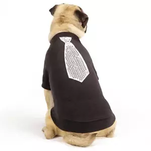 East Side COLLECTION Black Pullover  Dog Sweater w/Embellish Silver Tie. Large. - Picture 1 of 2