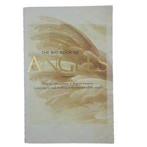 The Big Book of Angels Book Angelic Encounters Paperback Afterlife Free Postage - Picture 1 of 9