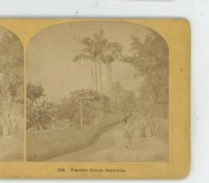 Wayside Scene Bermuda Kilburn Stereoview - Picture 1 of 2
