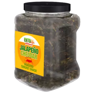 Snack de cricket con sabor a cheddar jalapeño - tamaño libra | insectos comestibles insectos insectos - Imagen 1 de 2