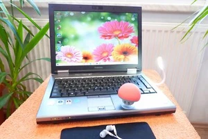 Toshiba M10 l 14 Zoll HD l SSD NEU l 4GB RAM l Windows 10 Pro l LAN WLAN I - Bild 1 von 9