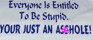 Bella Spaghetti Strap Custom Fun T-Shirt Medium White Dirty Shirt Stupid A**hole - Picture 1 of 3