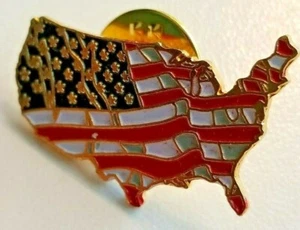 9/11/01 UNITED STATES W/FLAG BACK GROUND COMMEMORATIVE PIN - Picture 1 of 1