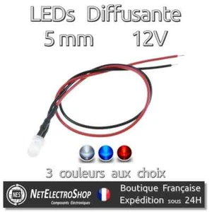 LED 5mm 12V Pré Cablé Diffusante, Choix : Bleu Rouge Blanc, Lot 5 à 20 leds - Imagen 1 de 1