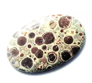 40.75cts NICE ASTEROID JASPER CABOCHON 44 x 27.5 x 4 mm MEXICO # 35 - Picture 1 of 2