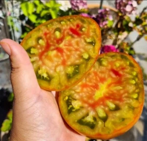 😋 10 St. Tomaten Samen "Ananas Noire", sehr schmackhafte alte Sorte - Bild 1 von 3