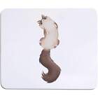 'Fluffy Ragdoll Cat' Mouse Mat / Desk Pad (MO00011830)