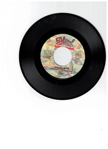 Skyy Disco 45 (Sal Soul) Let's Celebrate/Gonna Get It On NM - Picture 1 of 2