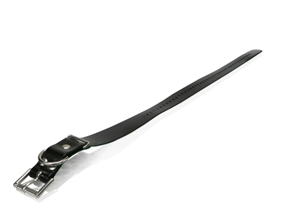 Dogtra Extra Dog Collar 1" X 30" Waterproof Replacement Straps - Image 1 of 1