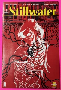 STILLWATER #1 (IMAGE COMICS 2020) CHI ZDARSKY | NM+ OPTIONED - Picture 1 of 4