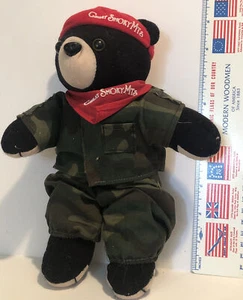 Vintage Great Smoky Mountains Plush Bear Anthropomorphic 1984 9” - Picture 1 of 4