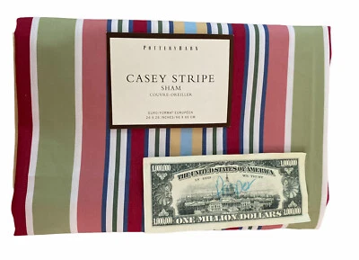 Potterybarn Casey Rayas Euro Sham Algodón Multicolor 26" X 26" Difícil de Encontrar Raro NUEVO Foto 1 de 4