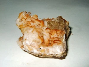 - Minerali Grezzi Cristalloterapia - CERUSSITE cristallo su BARITE (8) marocco - Picture 1 of 2