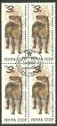 an82 Russia block of 4 Dinosaur stamps Prehistoric Horse
