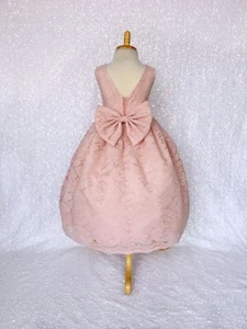 Rustic French Lace V-Back Flower Girl Dress Holiday Wedding Birthday 2 4 6 8 10 - Picture 1 of 66
