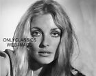 1968 SHARON TATE WRECKING CREW PORTRAIT PHOTO SEXY GORGEOUS GIRL BEAUTIFUL EYES!