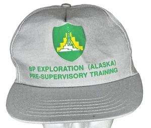 BP Exploration Alaska Pre-Supervisor Training Mütze Snapback Cap grau grün USA - Bild 1 von 12