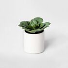 Project 62? Artificial Green Dudleya Succulent In White Pot Set Of 2 4.5" X 4"