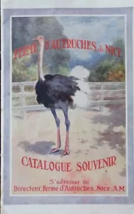 ANTIKE & SELTENE FERME D'AUTRUCHES DE SCHÖNE STRAUSSENHÜTE & MEHR FRANZÖSISCHER KATALOG - Bild 1 von 5