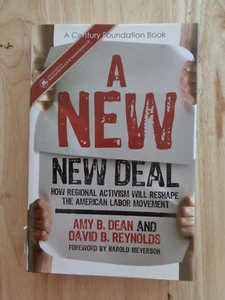 New New Deal by Amy B Dean & David B Reynolds 2009 (HC/DJ) - Imagen 1 de 1