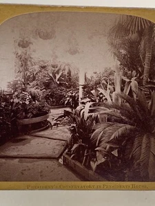 Conservatory in President's Mansion Washington DC Stereoview c1880 Garden - Picture 1 of 6