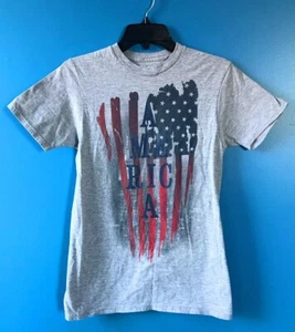 Hanes Women's Flag Patriotic 4th Of July America Ladies' Crew Neck T-Shirt Small - Picture 1 of 10
