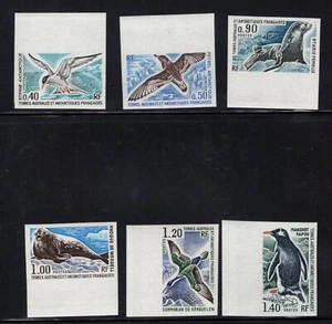 FSAT TAAF Antártica 1976 Focas Pingüino Pájaros León Marino Imperforados Sc 58 - 63 NH - Imagen 1 de 1