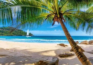 Castorland Holidays in Seychelles 500 Piece Jigsaw Puzzle - Picture 1 of 2