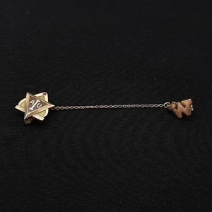 AIU Gold Vermeil Pin - Picture 1 of 2