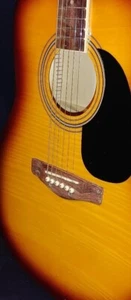 GLEN BURTON GA101-FCO/TS DREADNOUGHT-FLAME TOP - w/TUNER - BOUND - NEW - Picture 1 of 4
