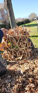 2lb Organic Oak Leaf Litter - Picture 1 of 6
