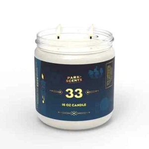 park scents 33 candle 16 oz. glass jar - Picture 1 of 1
