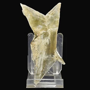 Yeso "Punta de Flecha" (Castrillo del Val, Burgos, España) #M4398 96x46mm - Imagen 1 de 1