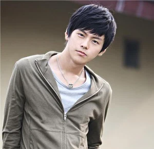  Herrenperücke kurz Herrn Perücke wig Haare von  Cosplay Halloween Karneval  212 - Bild 1 von 4