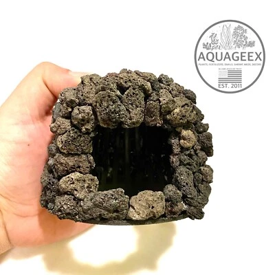 Aquarium Cave Black - Fish Tank Live Plants Java Moss Shrimp Betta Drift Wood - Image 1 of 4